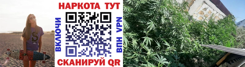 Где можно купить наркотики Правдинск Гашиш COCAIN Меф мяу мяу