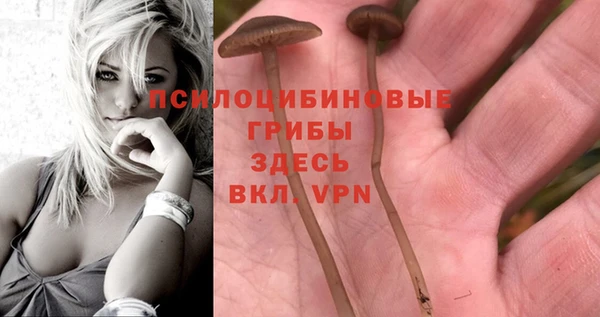 ALPHA-PVP Нефтекумск