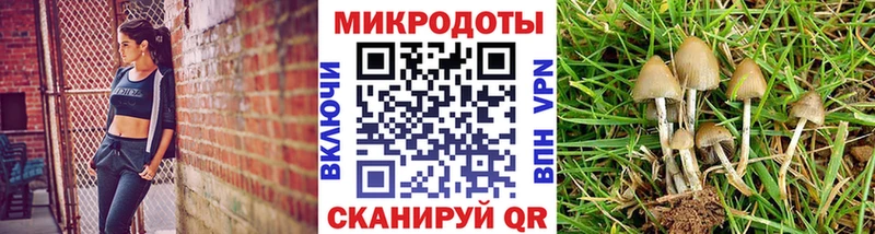 Псилоцибиновые грибы GOLDEN TEACHER  Правдинск 