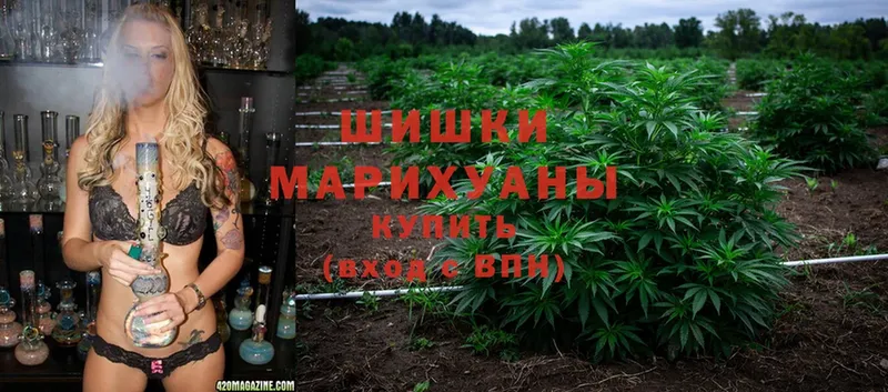 Канабис OG Kush  где можно купить   Правдинск 